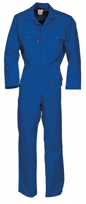 Korenblauw